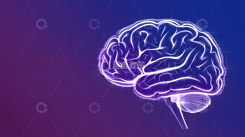 高清大图下载【趣麦麦图】大脑结构白色示意图