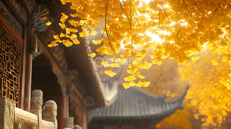 高清大图下载【趣麦麦图】秋天中的中式古建筑