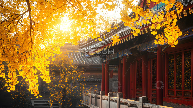 高清大图下载【趣麦麦图】秋日阳光下的中式古建筑