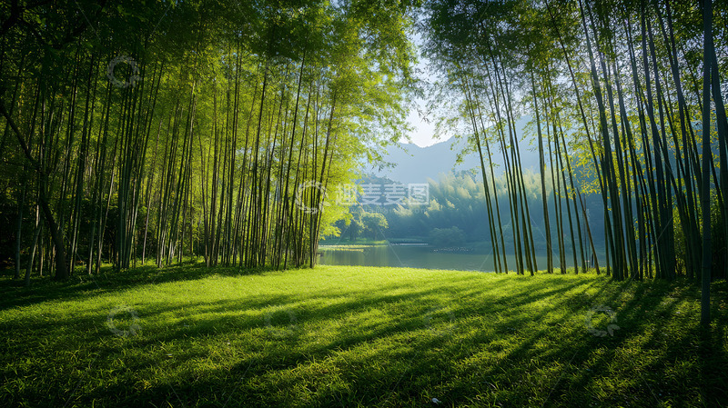 高清大图下载【趣麦麦图】湖边竹林绿地晨光