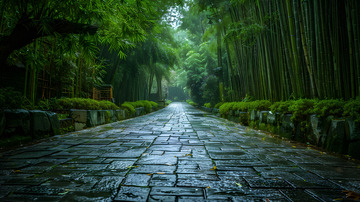 雨中竹林石板路风景