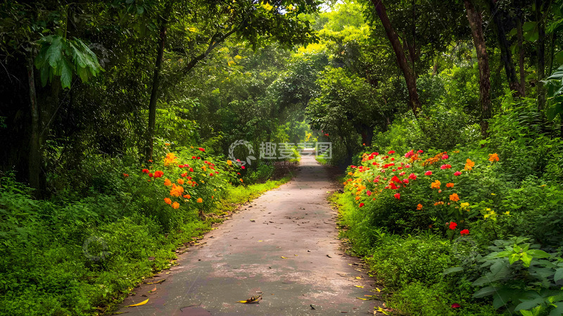 高清大图下载【趣麦麦图】林间小路夏季花丛