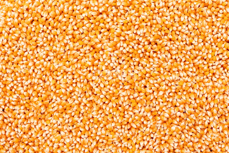 高清大图下载【趣麦麦图】自然的丰盈特写