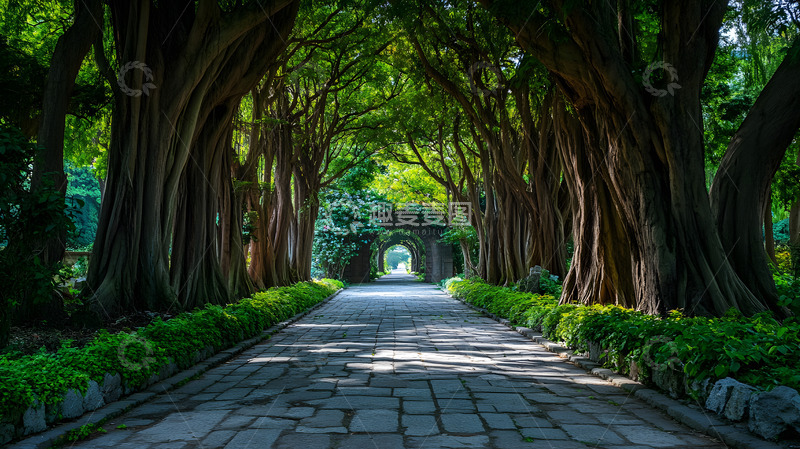 高清大图下载【趣麦麦图】林荫大道拱形树木环绕的自然风景壁纸