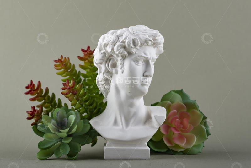 高清大图下载【趣麦麦图】多肉环绕下的古典男像雕塑