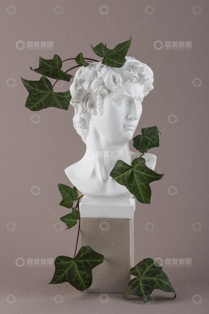 高清大图下载【趣麦麦图】石膏雕塑头像与常春藤的静谧