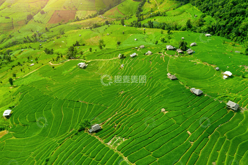 高清大图下载【趣麦麦图】绿意梯田与山间农舍