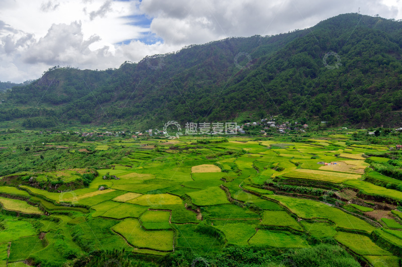 高清大图下载【趣麦麦图】绿黄交织的田园风光