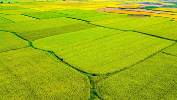 丰收季节的宁静篇章