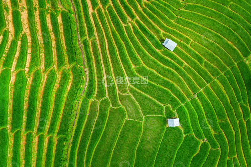 高清大图下载【趣麦麦图】绿意盎然的梯田画卷