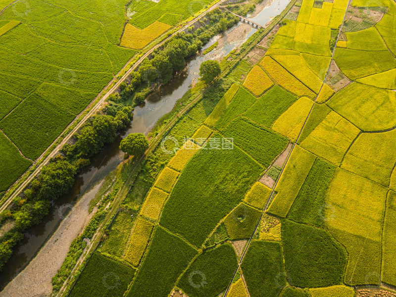 高清大图下载【趣麦麦图】-乡村稻田与蜿蜒小河的美景
