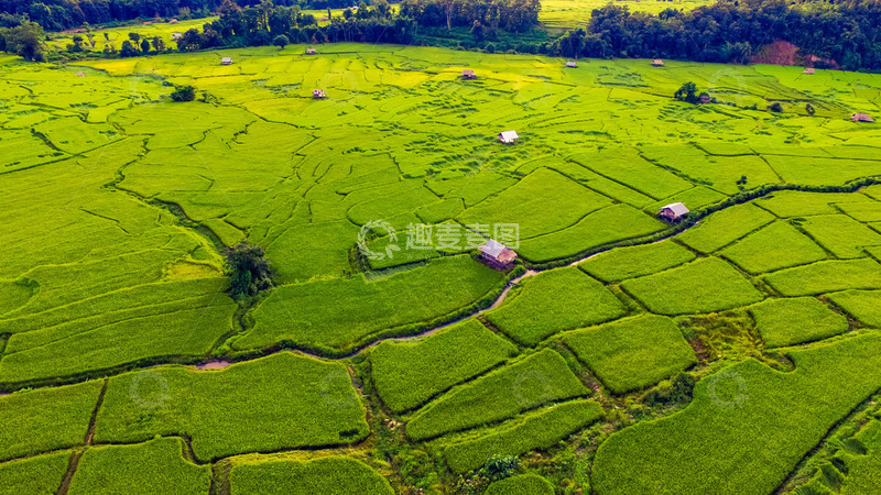 高清大图下载【趣麦麦图】翠绿稻浪中的田园小屋