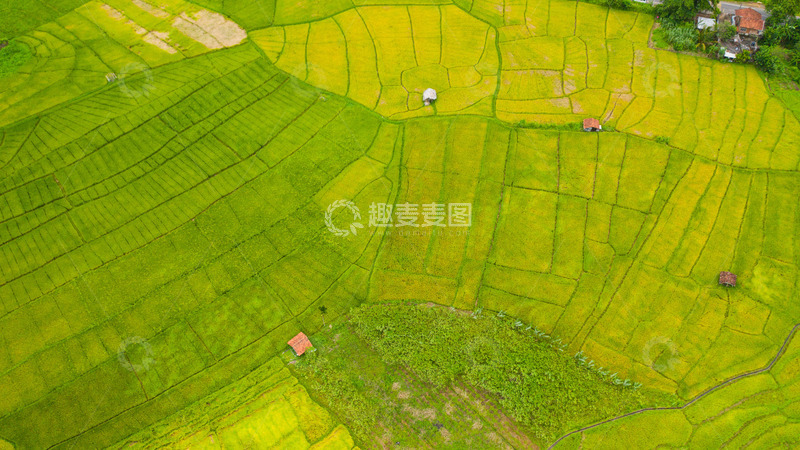 高清大图下载【趣麦麦图】自然与农业的和谐共生