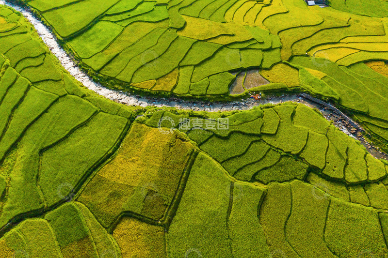 高清大图下载【趣麦麦图】绿意稻田高空下的生长轨迹