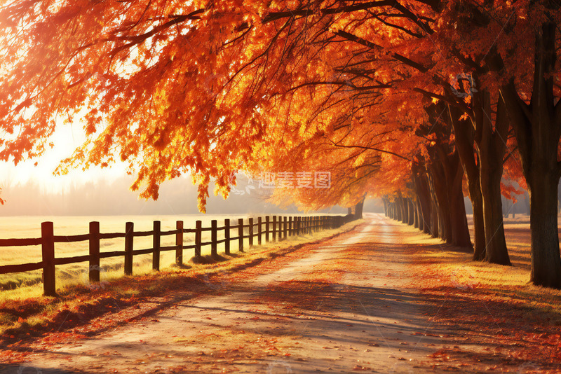 高清大图下载【趣麦麦图】秋色之路静谧田园