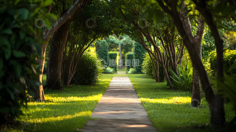 高清大图下载【趣麦麦图】树木环绕的宁静小路自然风光