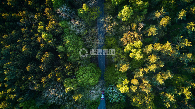高清大图下载【趣麦麦图】航拍公路森林汽车行驶
