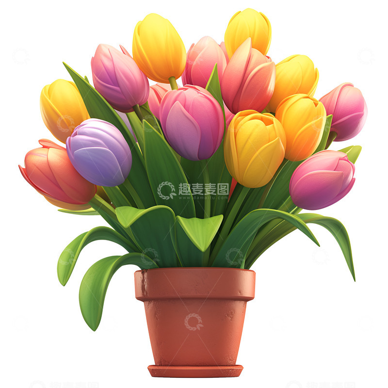 高清大图下载【趣麦麦图】一盆茂盛的郁金香