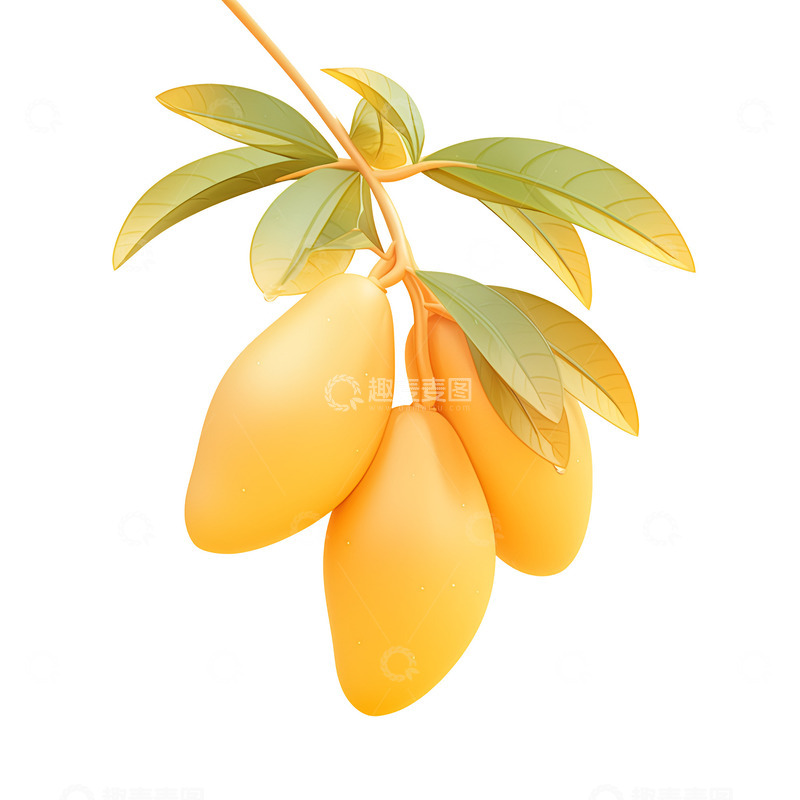 高清大图下载【趣麦麦图】新鲜的一枝芒果