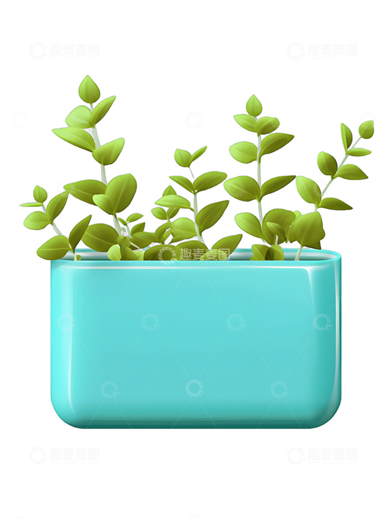 高清大图下载【趣麦麦图】方形盆栽植物