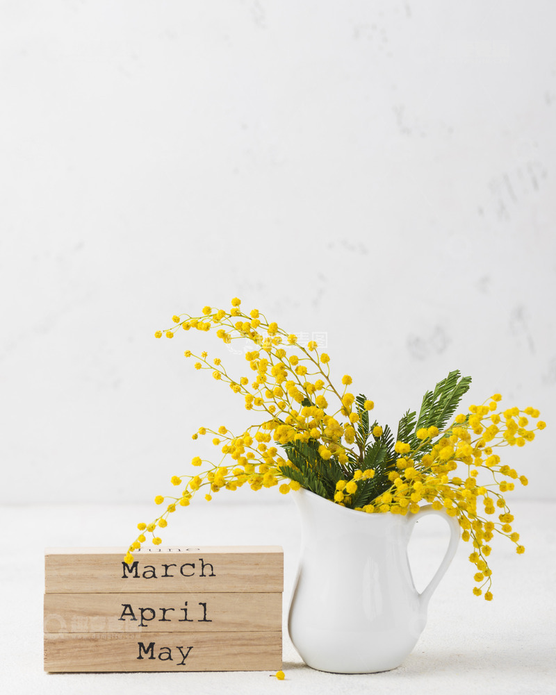 高清大图下载【趣麦麦图】金合欢花束点缀白色花瓶