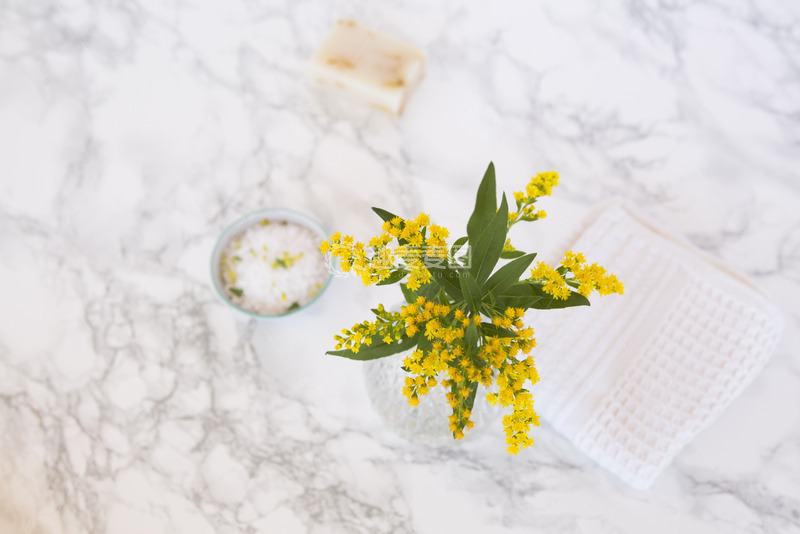 高清大图下载【趣麦麦图】大理石桌上的金盏花