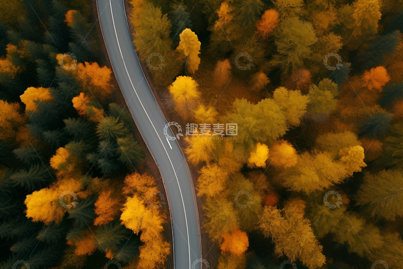 高清大图下载【趣麦麦图】秋季森林中的公路俯视图