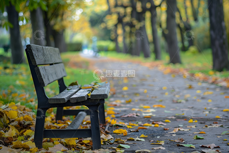 高清大图下载【趣麦麦图】公园里的长椅特写