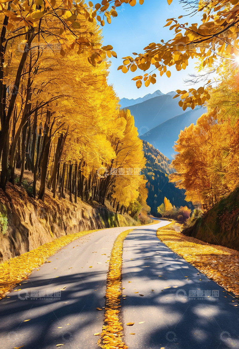 高清大图下载【趣麦麦图】秋季秋叶枫叶山路树木黄色系风景国庆旅游