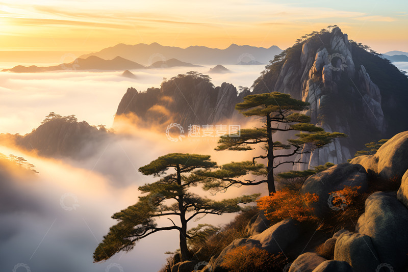 高清大图下载【趣麦麦图】山顶晨雾中的松树