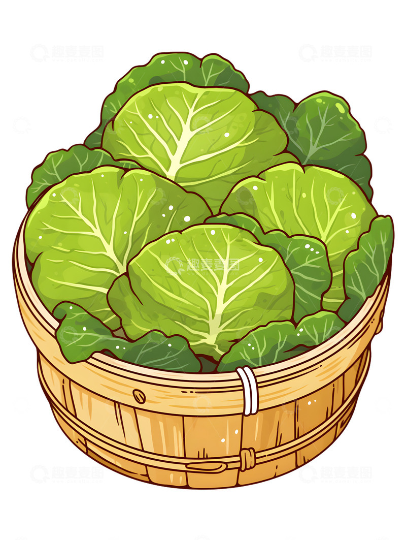 高清大图下载【趣麦麦图】一篮白菜蔬菜