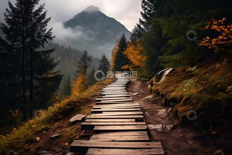 高清大图下载【趣麦麦图】山上的木头栈道