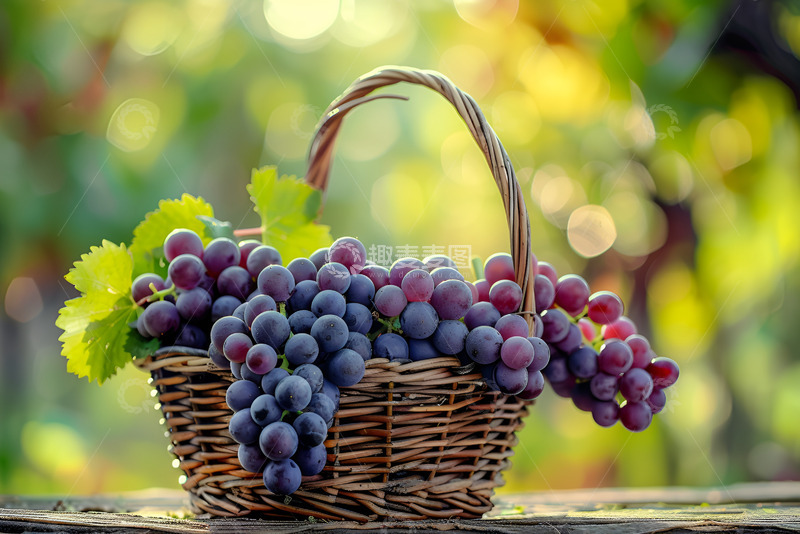 高清大图下载【趣麦麦图】一篮子新鲜的葡萄