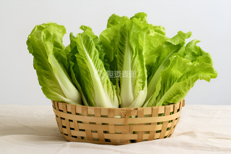 高清大图下载【趣麦麦图】一篮筐新鲜白菜