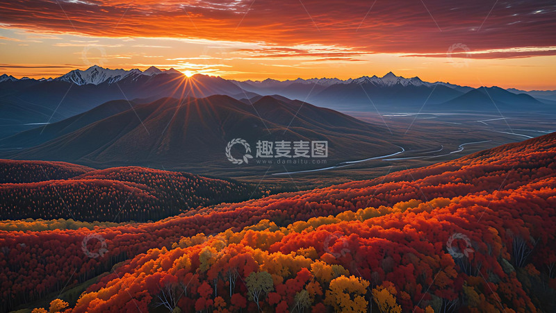 高清大图下载【趣麦麦图】山中正灿烂高清