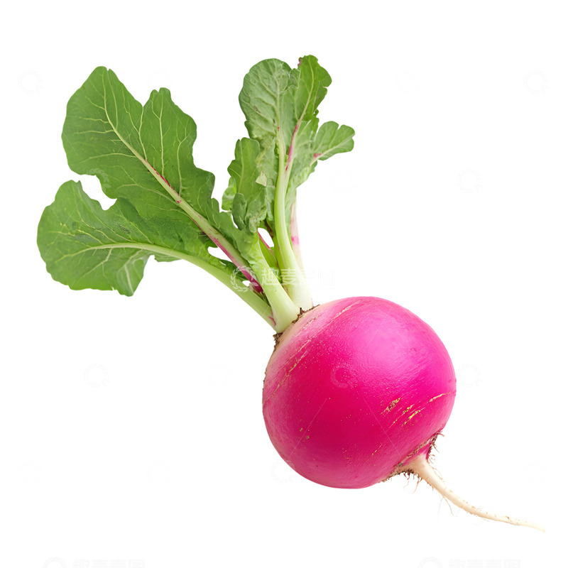 高清大图下载【趣麦麦图】红萝卜蔬菜瓜果