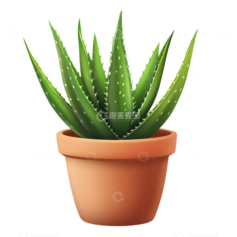 高清大图下载【趣麦麦图】一盆芦荟卡通植物图标