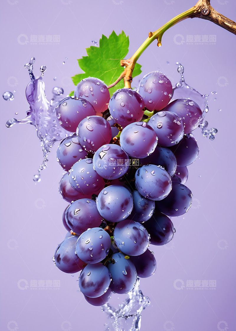 高清大图下载【趣麦麦图】新鲜水花葡萄紫色水果