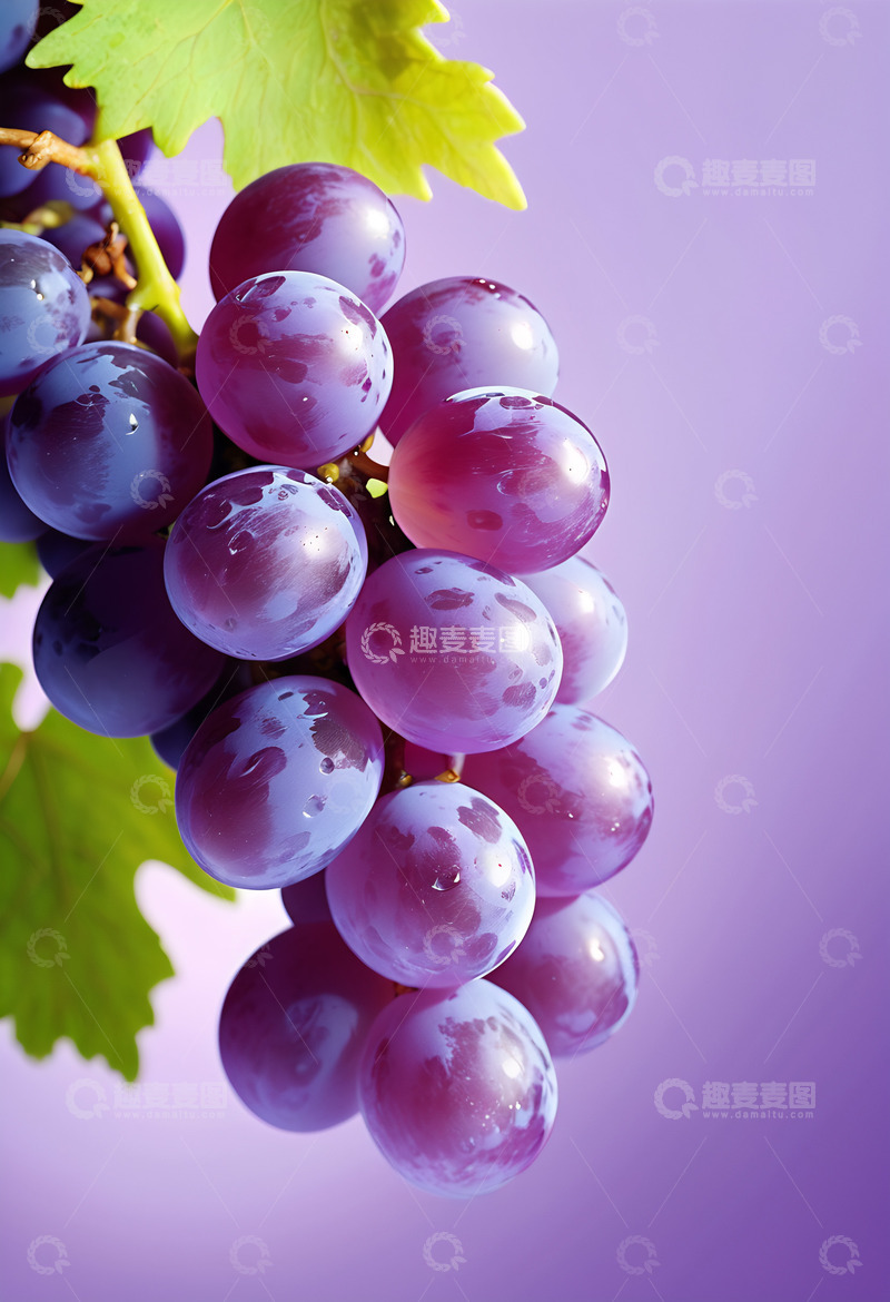 高清大图下载【趣麦麦图】新鲜紫色饱满葡萄水果美食