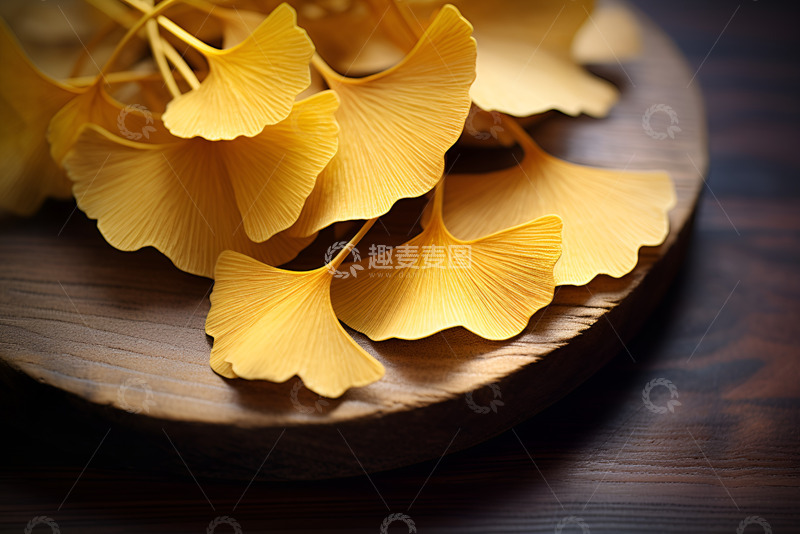 高清大图下载【趣麦麦图】桌子上放着银杏树叶