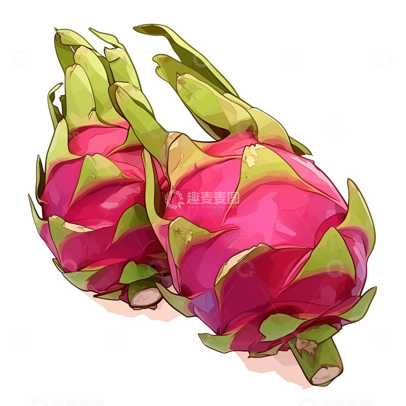 高清大图下载【趣麦麦图】卡通简约两个红心火龙果