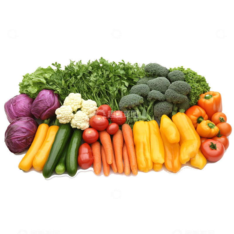 高清大图下载【趣麦麦图】蔬菜集合插图绿色的