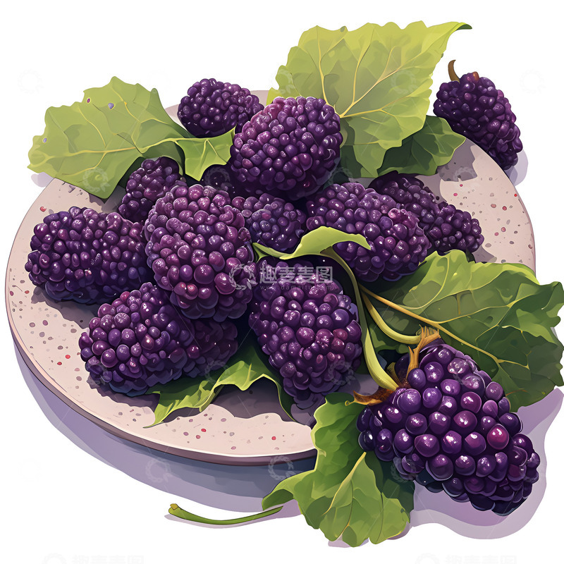 高清大图下载【趣麦麦图】一盘紫色新鲜的桑葚