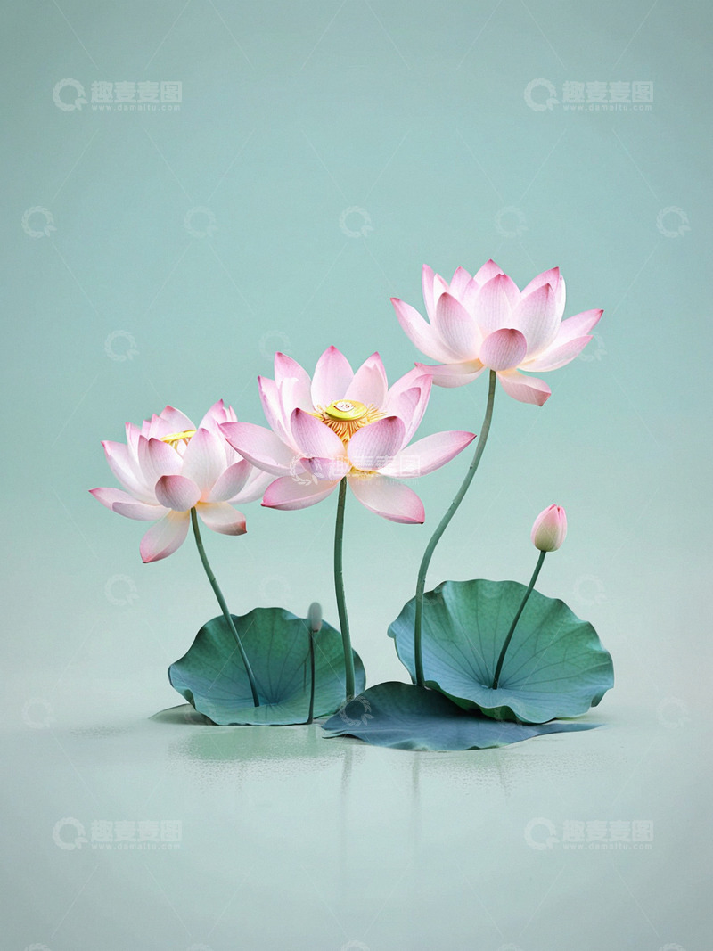 高清大图下载【趣麦麦图】中国风艺术荷花