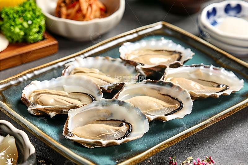 高清大图下载【趣麦麦图】新鲜的生蚝美食摄影