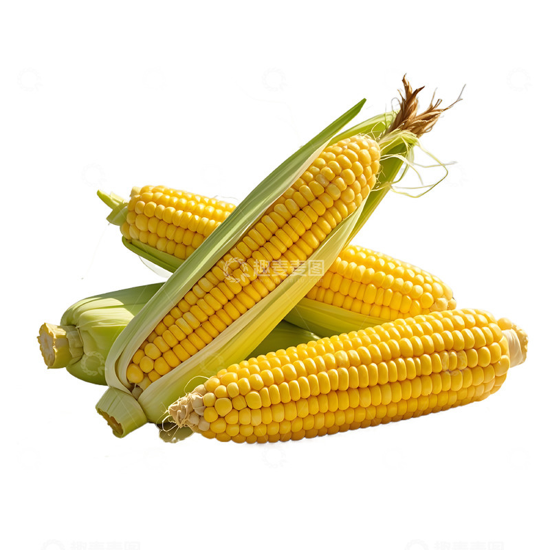 高清大图下载【趣麦麦图】蔬菜生鲜之玉米摄影图