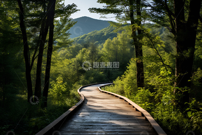 高清大图下载【趣麦麦图】下山的木头栈道