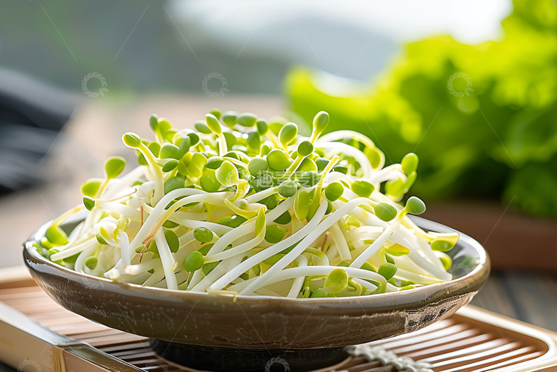 高清大图下载【趣麦麦图】一盘新鲜的豆芽菜