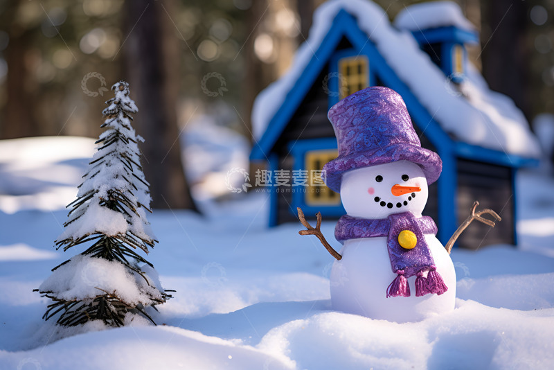 高清大图下载【趣麦麦图】放在雪地上的雪人玩偶