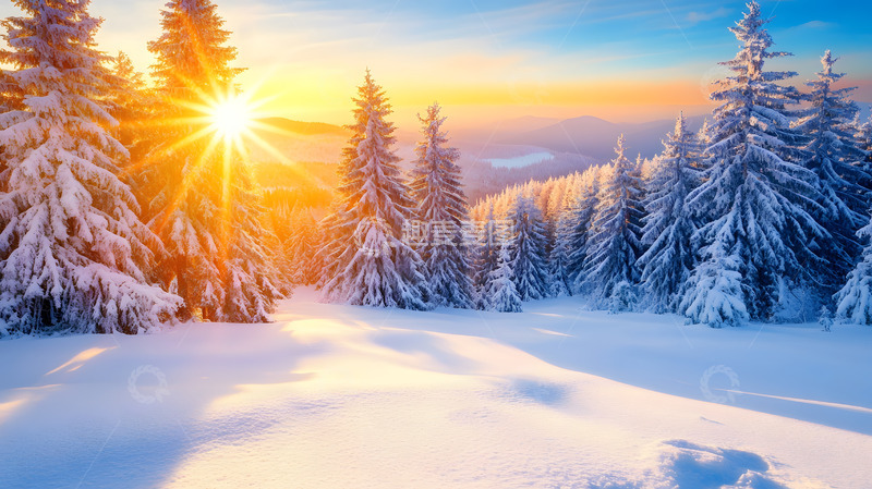 高清大图下载【趣麦麦图】雪地松树林中的晨光宁静冬日晨景